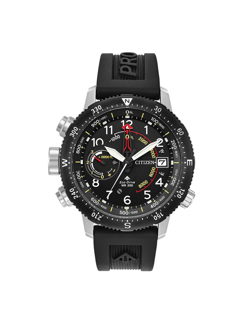 Promaster on sale altichron citizen